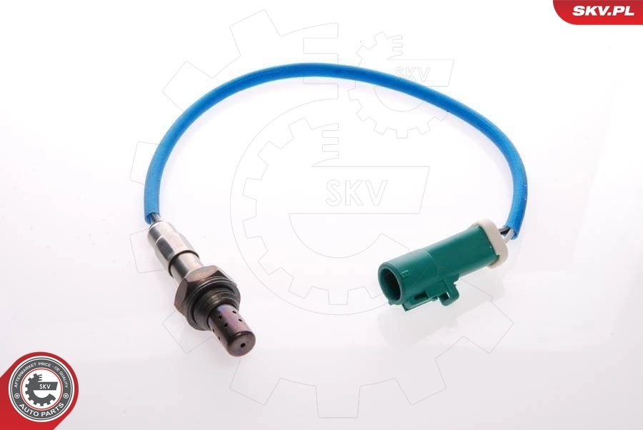 Oxygen Sensor
